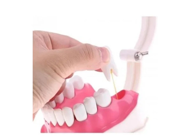 Dental Care Model